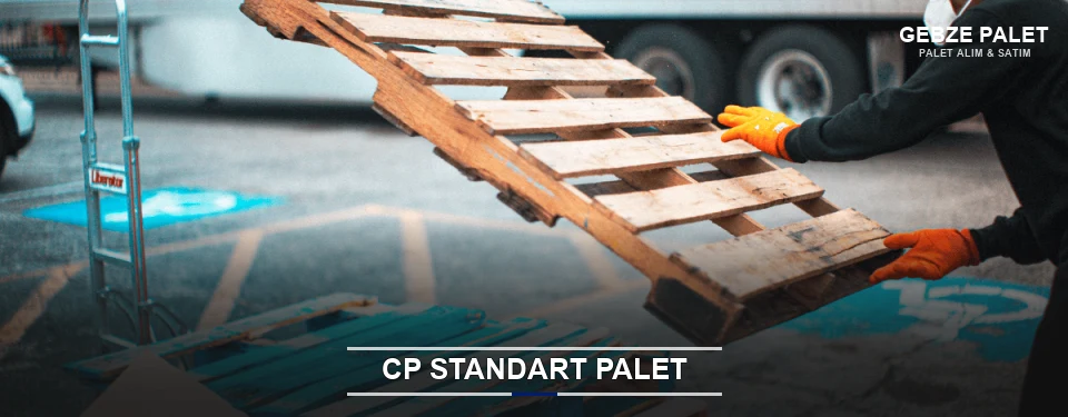 Gebze CP Palet Çözümleri
